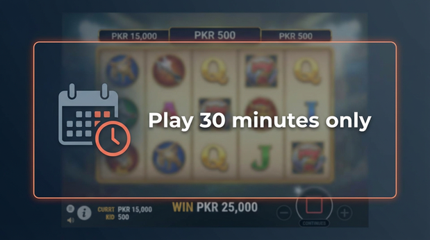 Payment and PKR controls in Planbet - 6